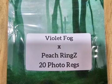 Venta: Violet Fog x Peach RingZ - 20 Photo Regs