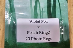 Vente: Violet Fog x Peach RingZ - 20 Photo Regs