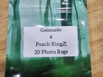 Vente: Gelonade x Peach RingZ - 20 Photo Regs