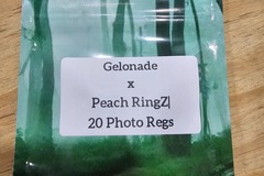 Venta: Gelonade x Peach RingZ - 20 Photo Regs