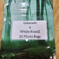 Venta: Gelonade x White RuntZ - 20 Photo Regs