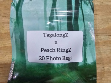 Venta: TagalongZ x Peach RingZ - 20 Photo Regs