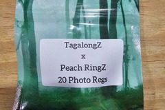 Vente: TagalongZ x Peach RingZ - 20 Photo Regs