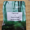 Sell: TagalongZ x Peach RingZ - 20 Photo Regs