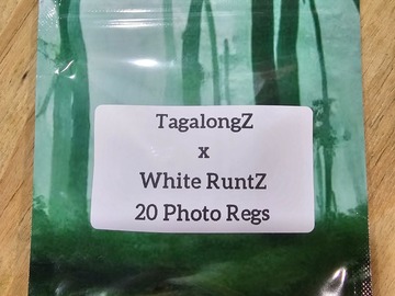 Vente: TagalongZ x White RuntZ - 20 Photo Regs