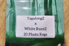 Vente: TagalongZ x White RuntZ - 20 Photo Regs