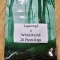 Sell: TagalongZ x White RuntZ - 20 Photo Regs
