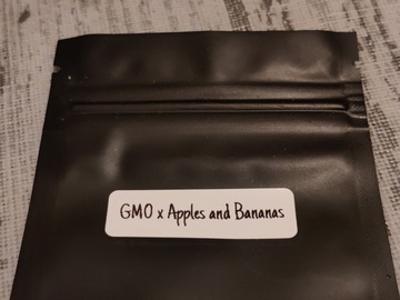 Vente: GMO x Apples and Bananas 8 Feminized Seeds
