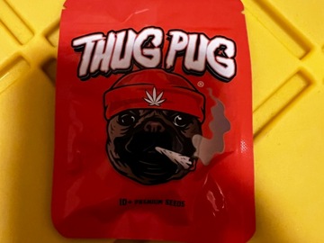 Sell: Thug Pug: Unicorn Poop F2