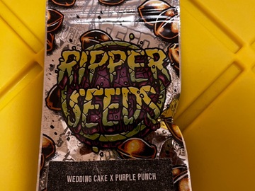 Venta: Ripper Seeds: Wedding Cake x Purple Punch
