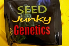 Venta: Seed junky Genetics: Açaí Gelato x Kushmints 11