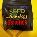 Vente: Seed junky Genetics: Açaí Gelato x Kushmints 11
