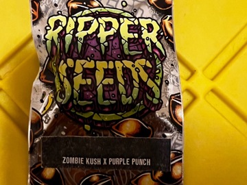 Venta: Ripper Seeds: Zombie Kush x Purple Punch