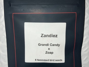 Venta: Zandiez from LIT Farms