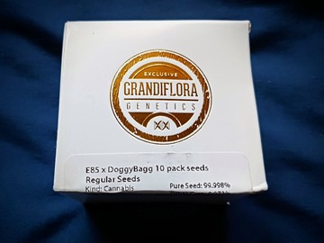 Vente: E-85 x Doggy Bag (Grandiflora Genetics)