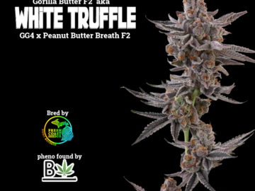 Venta: White Truffle