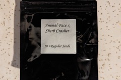 Vente: Animal Face x Sherb Crasher