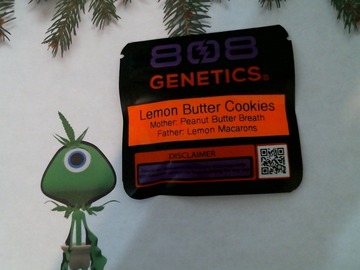 Sell: 808 Genetics - Lemon Butter Cookies