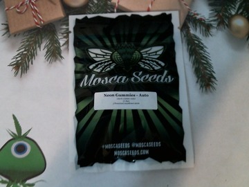 Sell: MOSCA SEEDS – NEON GUMMIES AUTO