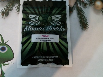 Sell: Mosca Seeds -  P FUNK