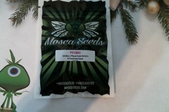 Sell: Mosca Seeds -  P FUNK