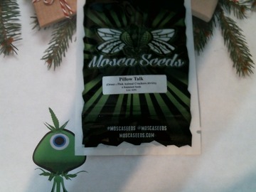 Sell: MOSCA SEEDS – PILLOW TALK