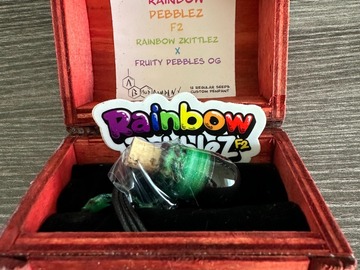 Vente: AB Seed Company Rainbow Pebbelz f2. Free shipping