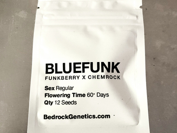 Venta: Chem D/Blue Bonic x ChemRock + FREEBIES!