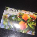 Vente: tangerine sin mint by sin city 15 reg seeds sealed pack