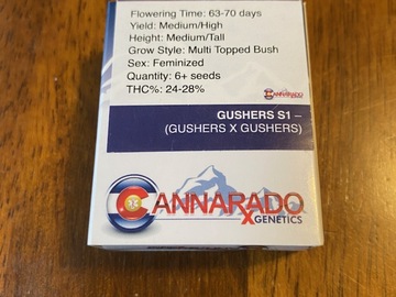 Sell: CANNARADO - GUSHERS S1
