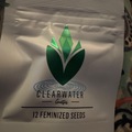 Sell: Clearwater Genetics - Ironlungs