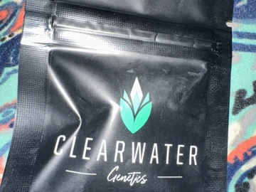 Sell: Clearwater Genetics - Blue Iceee
