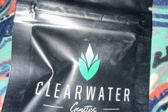 Vente: Clearwater Genetics - Blue Iceee