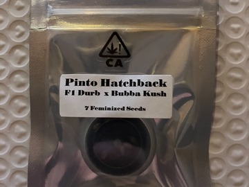 Vente: Pinto Hatchback from CSI Humboldt