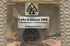 Venta: Uzbekistani IBL from CSI Humboldt