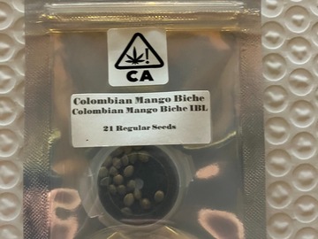 Sell: Colombian Mango Biche IBL from CSI Humboldt