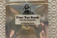 Venta: Pine Tar Kush IBL from CSI Humboldt