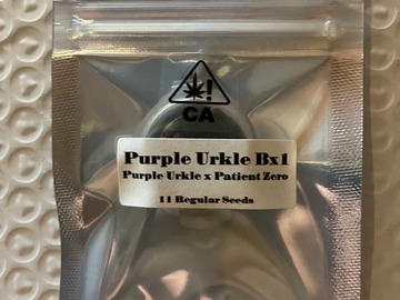 Vente: Purple Urkle BX1 from CSI Humboldt
