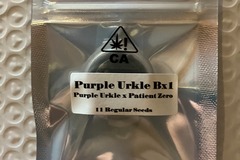 Venta: Purple Urkle BX1 from CSI Humboldt