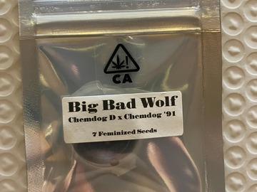 Venta: Big Bad Wolf from CSI Humboldt