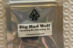 Vente: Big Bad Wolf from CSI Humboldt