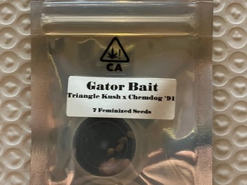Vente: Gator Bait from CSI Humboldt