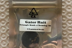 Venta: Gator Bait from CSI Humboldt