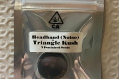 Vente: Headband (Notso) x Triangle Kush from CSI Humboldt