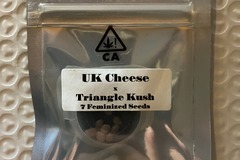 Sell: UK Cheese x Triangle Kush from CSI Humboldt