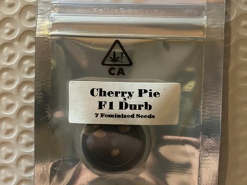 Sell: Cherry Pie x F1 Durb from CSI Humboldt