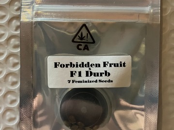 Venta: Forbidden Fruit x F1 Durb from CSI Humboldt