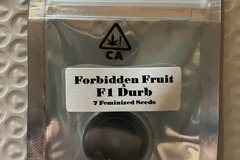 Vente: Forbidden Fruit x F1 Durb from CSI Humboldt