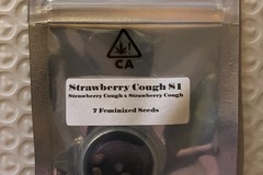 Sell: Strawberry Cough S1 from CSI Humboldt