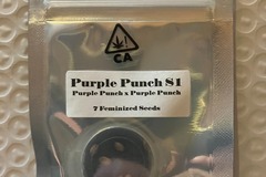 Sell: Purple Punch S1 from CSI Humboldt